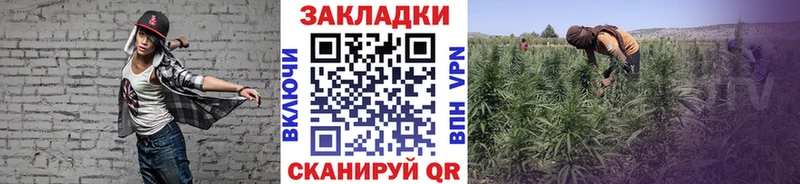 Где купить наркотики Салаир АМФ  ГАШ  Каннабис 