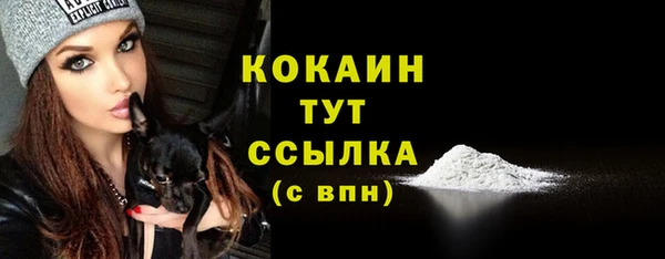 молекула духа Беломорск