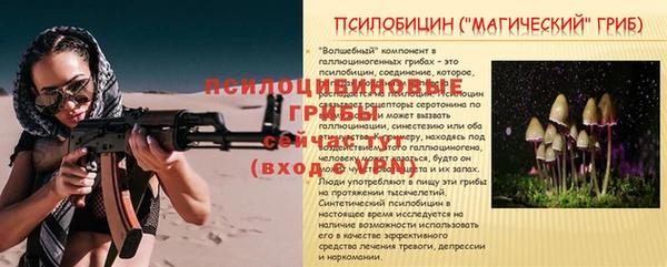 прущие крисы Белокуриха