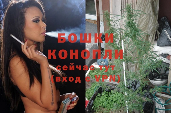 молекула духа Беломорск