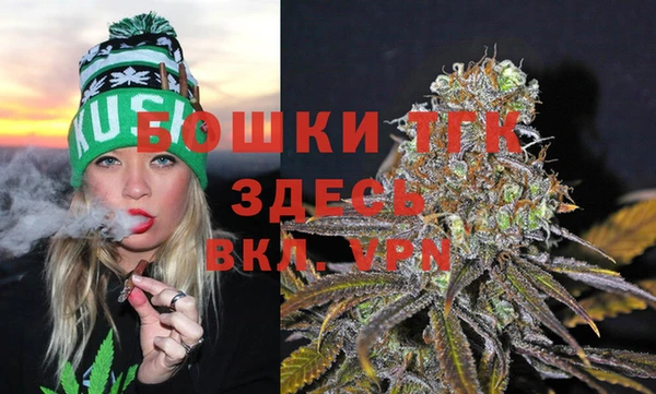 прущие крисы Белокуриха