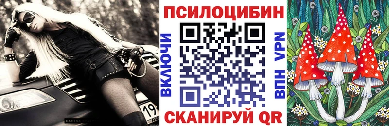 Псилоцибиновые грибы мухоморы  omg сайт  Салаир  закладка 